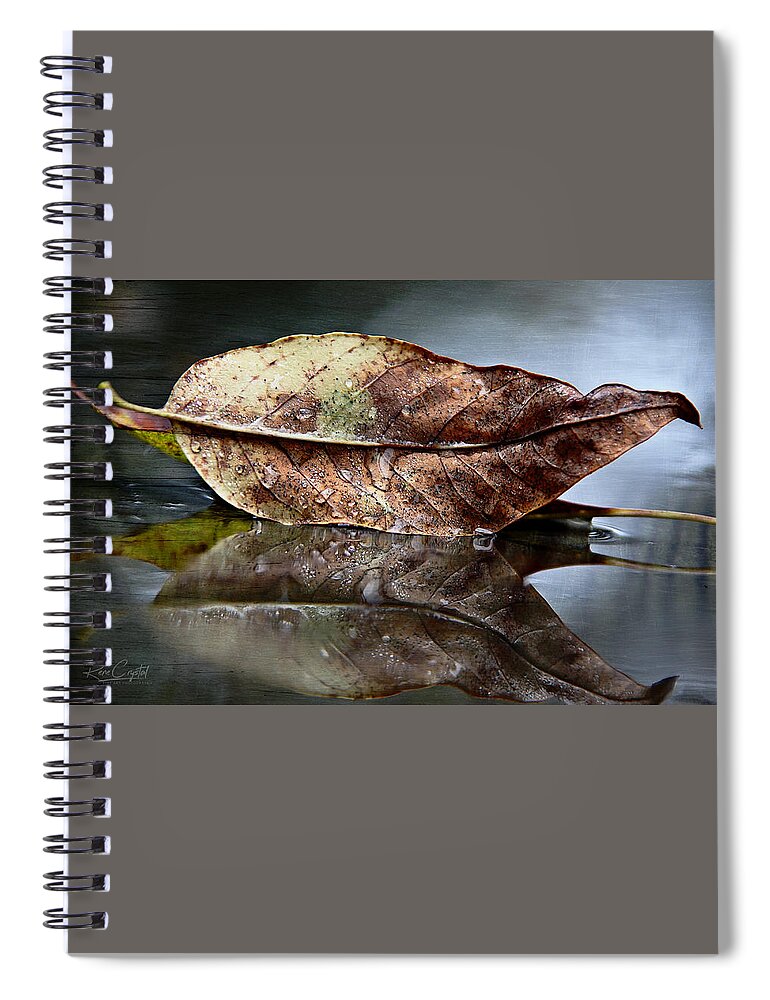 Ash Leaf Spiral Notebook featuring the photograph Final Reflection by Rene Crystal