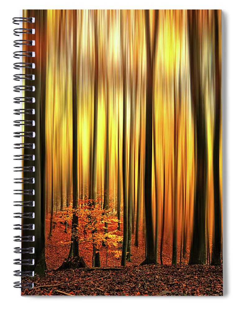 Forest Spiral Notebook featuring the photograph Firewall by Philippe Sainte-Laudy