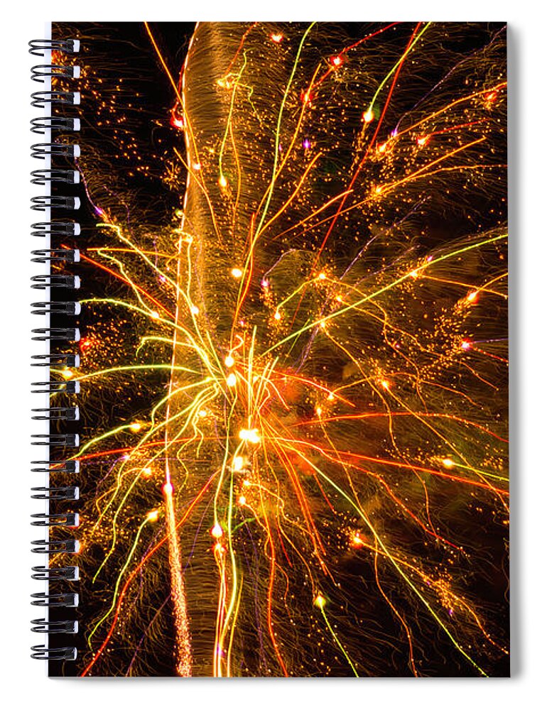 Fireworks Spiral Notebook featuring the photograph Fireworks Neuron Explosion by Meta Gatschenberger