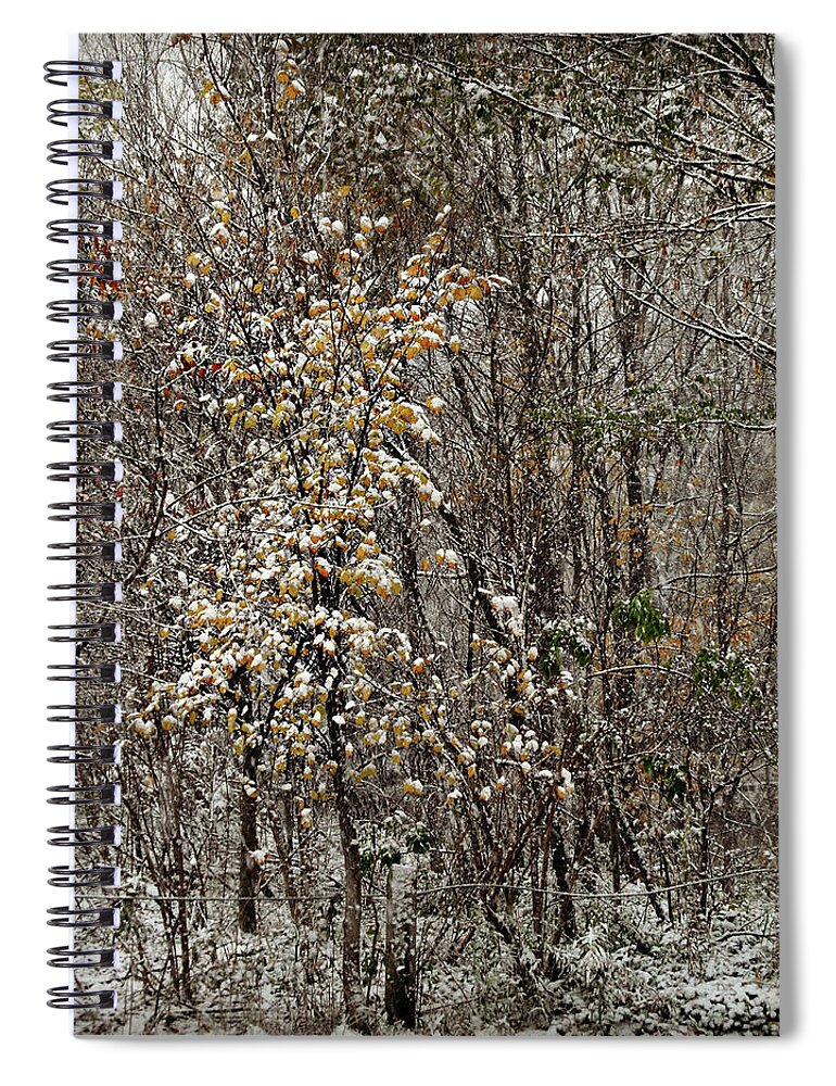 First Snow Fall Spiral Notebook featuring the photograph First Snow Fall 2 by Cyryn Fyrcyd