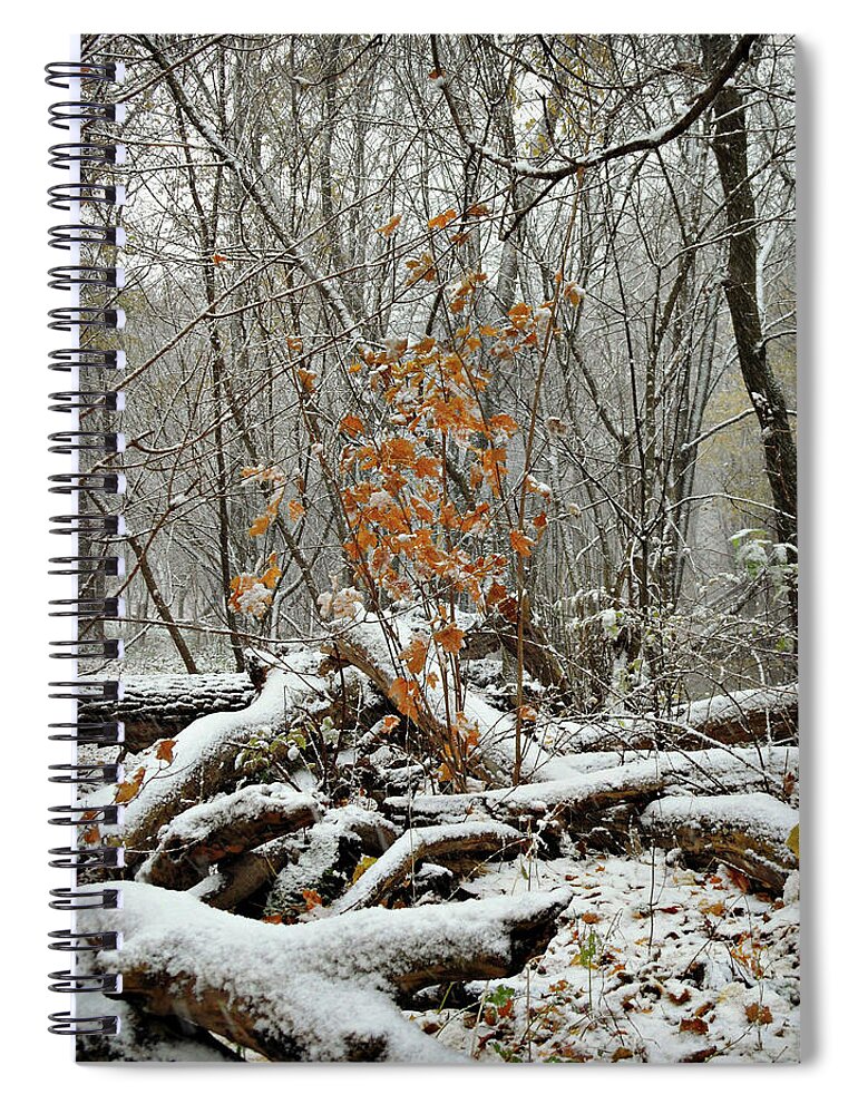 First Snow Fall Spiral Notebook featuring the photograph First SNow Fall 4 by Cyryn Fyrcyd