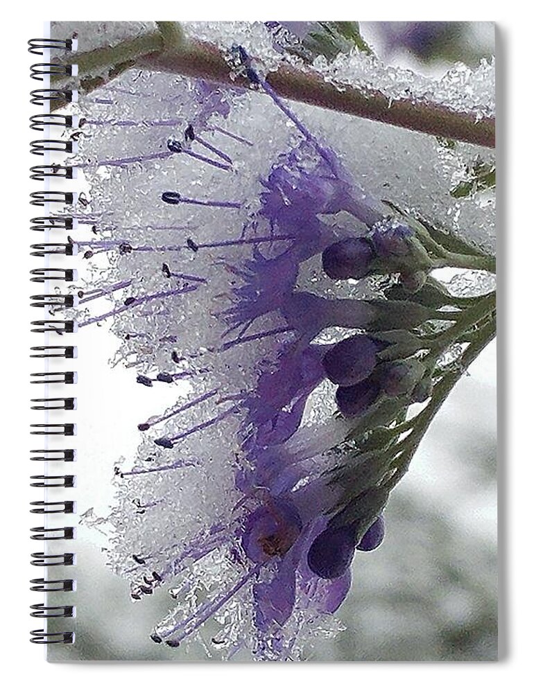 First Snow In Autumn Spiral Notebook featuring the photograph First Snow in Autumn by Jennifer Forsyth