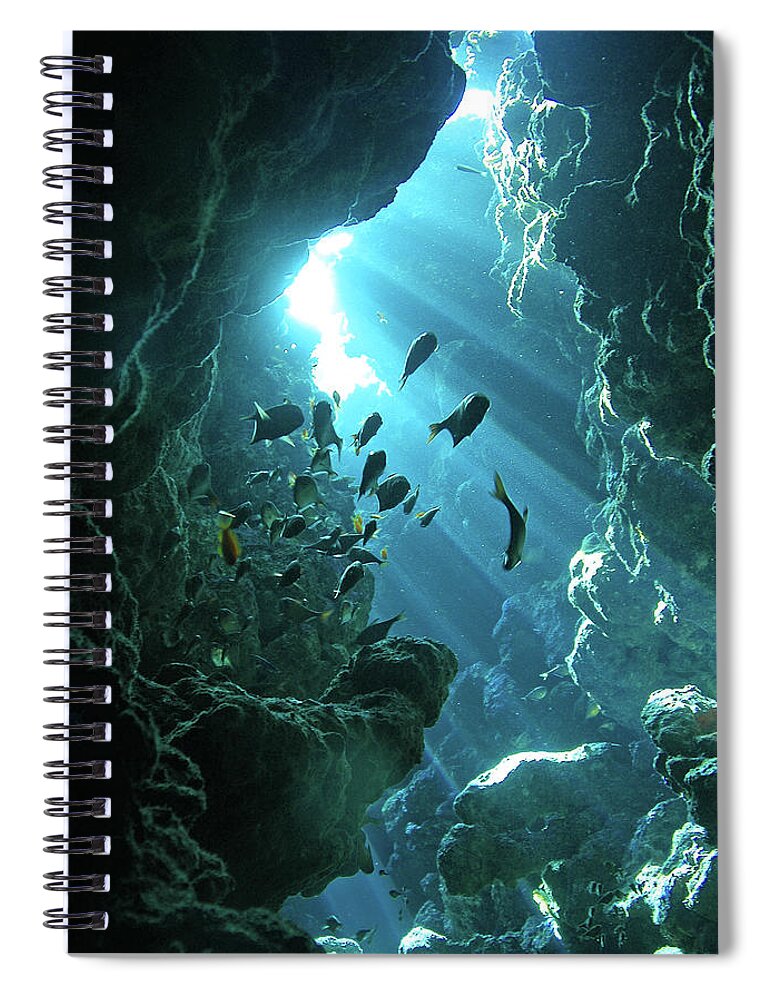 Underwater Spiral Notebook featuring the photograph Fish Shelter In Underwater Cave, Egypt by Joost Van Uffelen