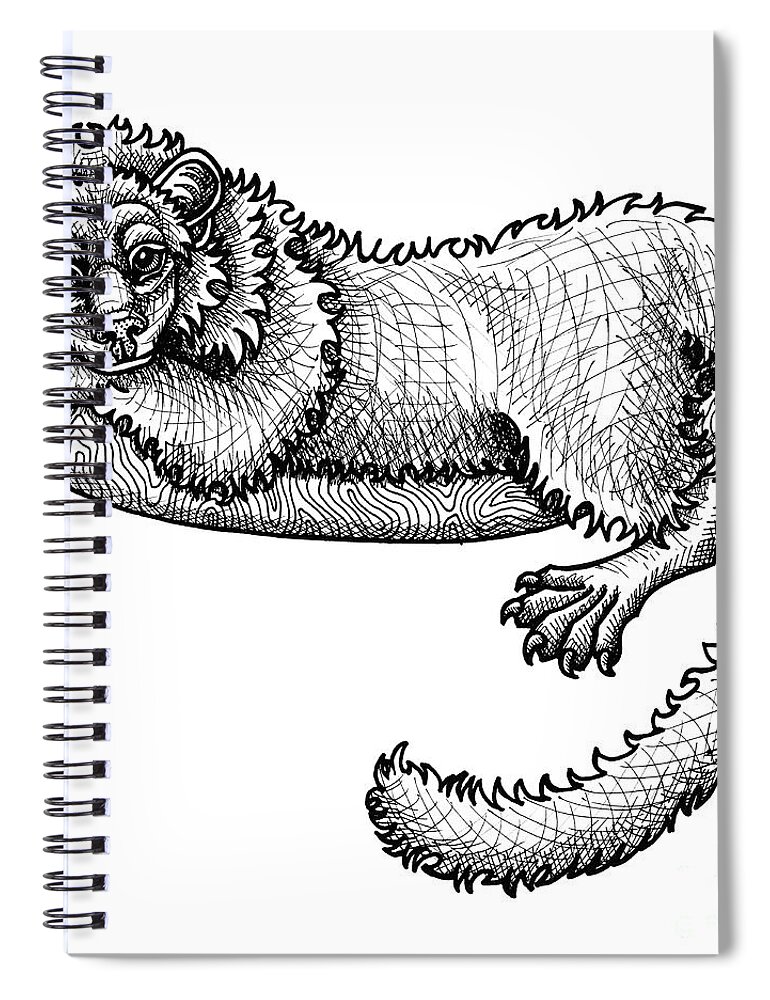 Animal Portrait Spiral Notebook featuring the drawing Fisher by Amy E Fraser