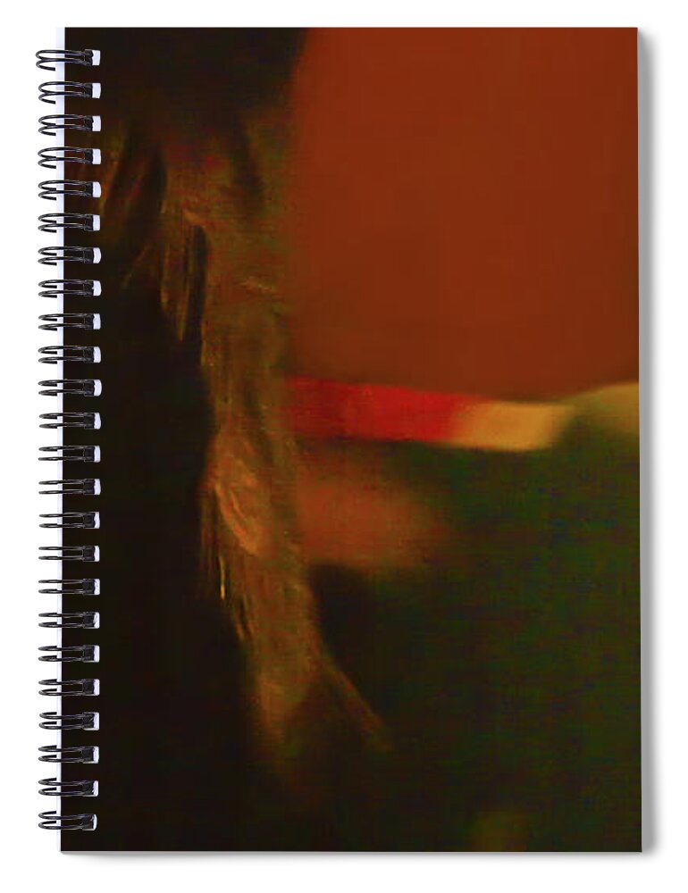 Abanicos Spiral Notebook featuring the photograph Flamenco Series 2 by Catherine Sobredo
