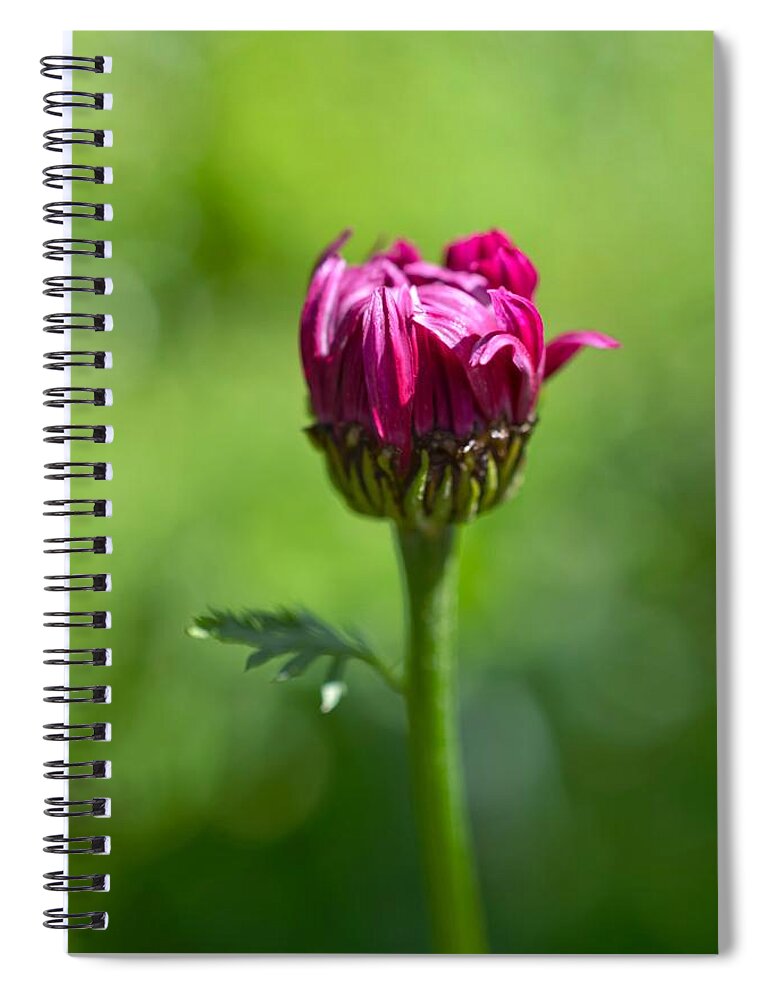 Flower Spiral Notebook featuring the photograph Fleur I by Shannon Kelly