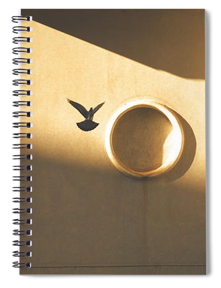Dove Spiral Notebook featuring the photograph Flight against the wall by Yavor Mihaylov