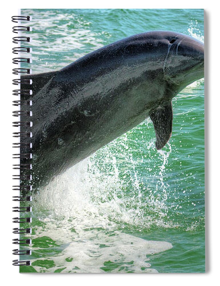 Dolphin Spiral Notebook featuring the photograph Flipper by Debra Kewley