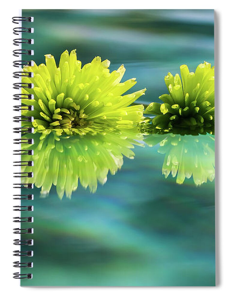Arizona Spiral Notebook featuring the photograph Floating Daisies 2 by Dawn Richards