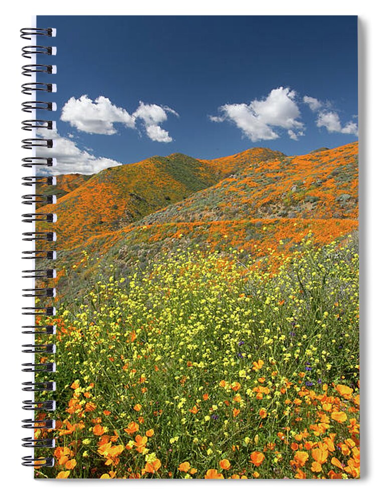 Flowers Spiral Notebook featuring the photograph Flora 4 by Ryan Weddle