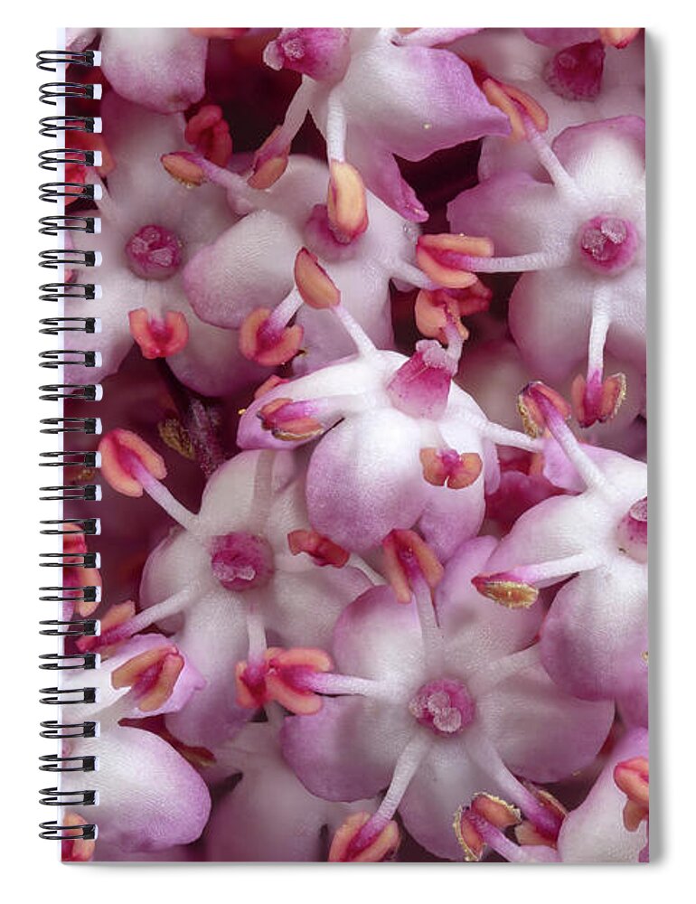 Elder Spiral Notebook featuring the photograph Floral by Paul Cowan