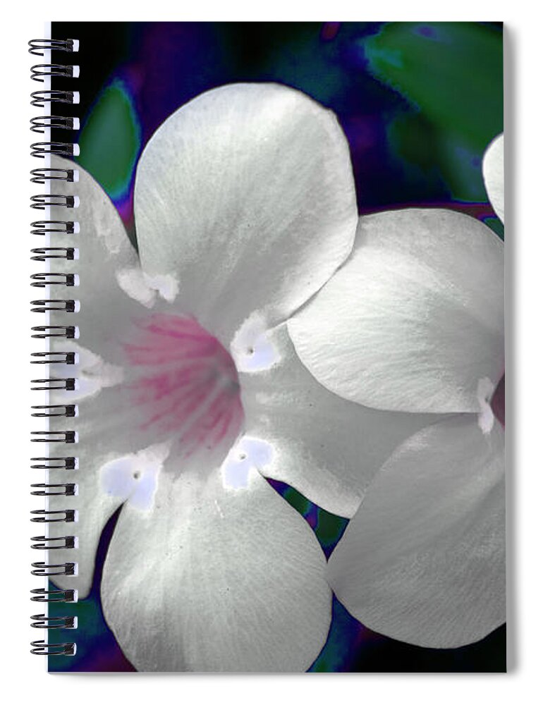 Floral Spiral Notebook featuring the photograph Floral Photo A030119 by Mas Art Studio