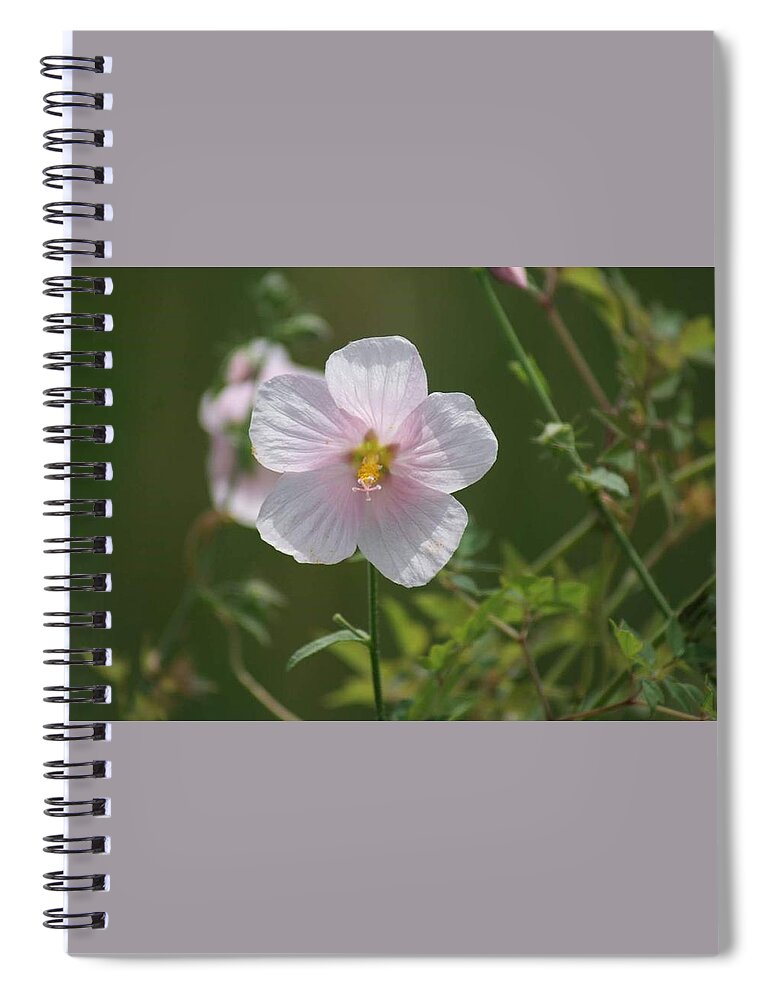 Florida Spiral Notebook featuring the photograph Florida Flowers by Lindsey Floyd