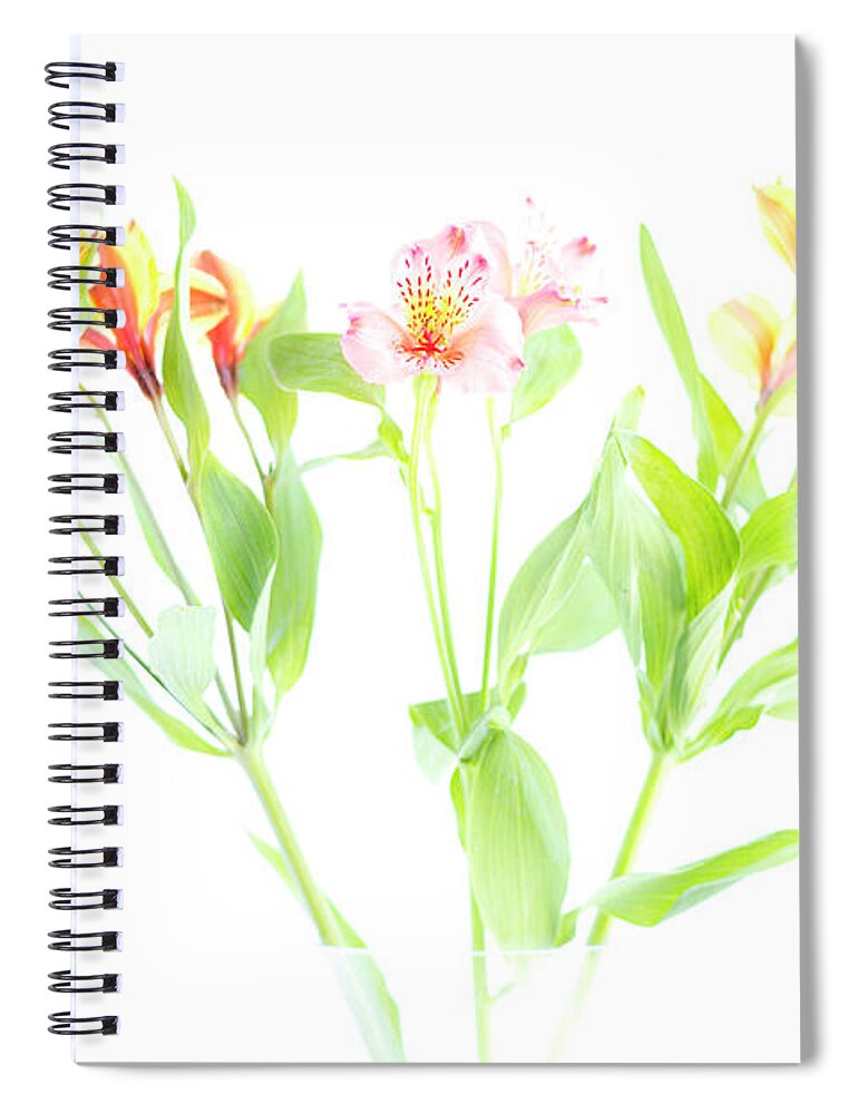 Floral Spiral Notebook featuring the photograph Floral by Tanya C Smith