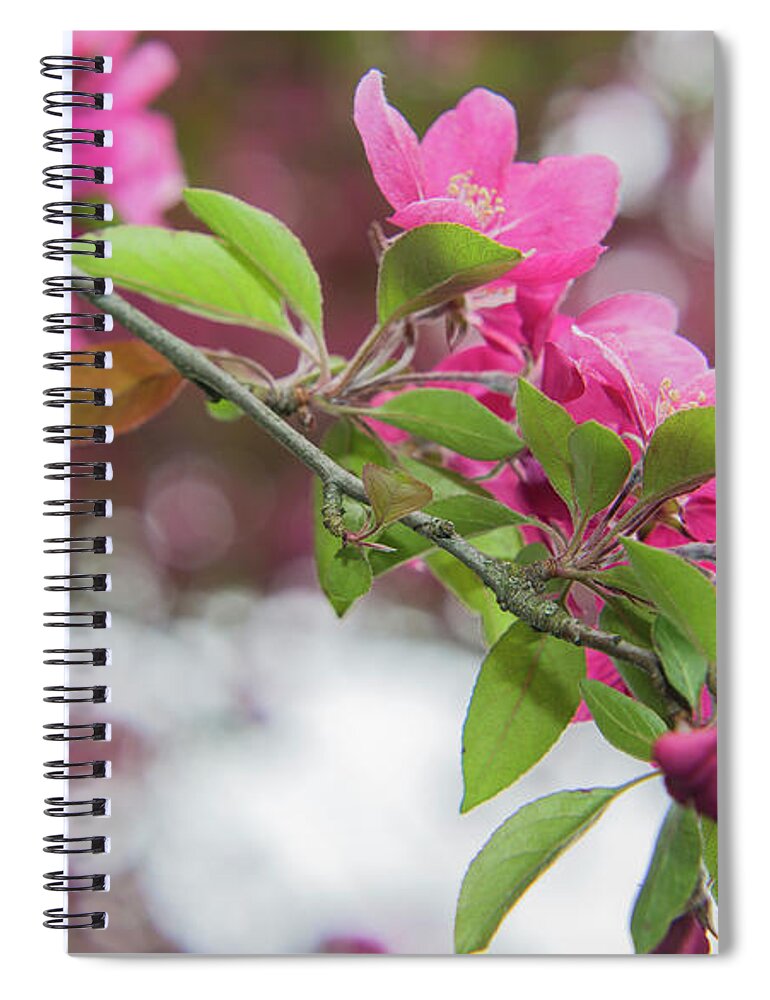 Flowers Spiral Notebook featuring the photograph Flower divider by Agnes Caruso