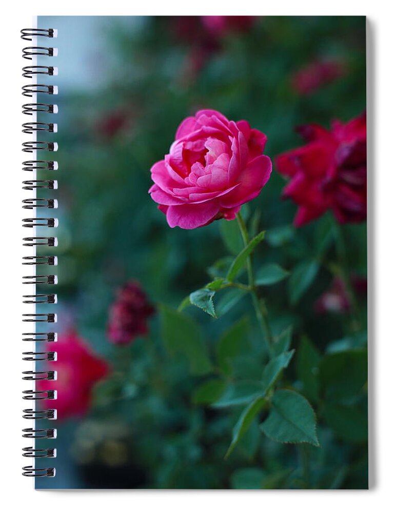 Taiwan Spiral Notebook featuring the photograph Flower by Max