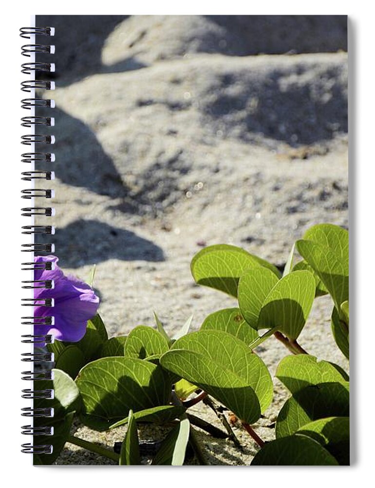 Railroad Vine Spiral Notebook featuring the photograph Flower of the Sand by T Lynn Dodsworth