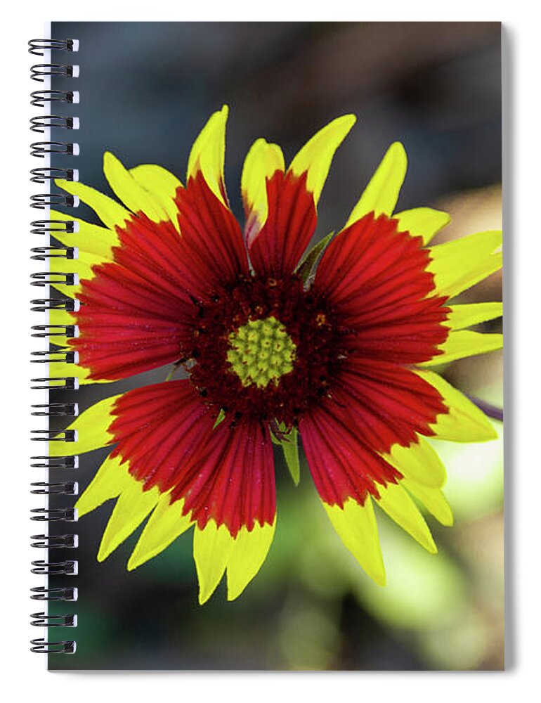  Spiral Notebook featuring the photograph Flower by Rocco Silvestri