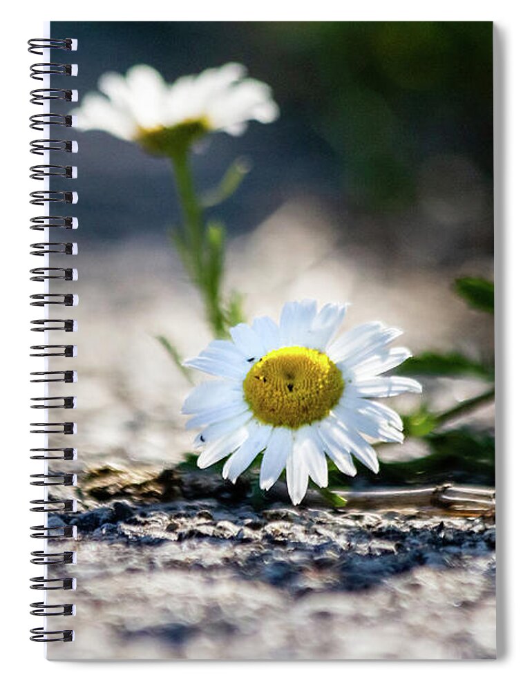 Beautiful Spiral Notebook featuring the photograph Flower streetside by SAURAVphoto Online Store