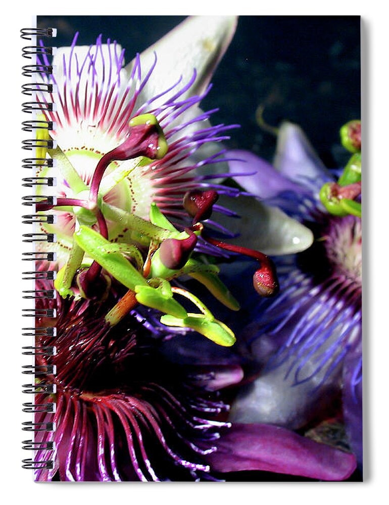 Purple Spiral Notebook featuring the photograph Flowers by Charles Briscoe-knight