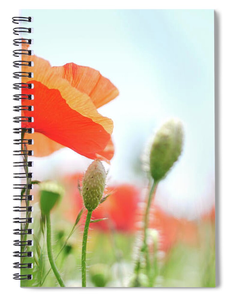 Environmental Conservation Spiral Notebook featuring the photograph Flowers by Csondy