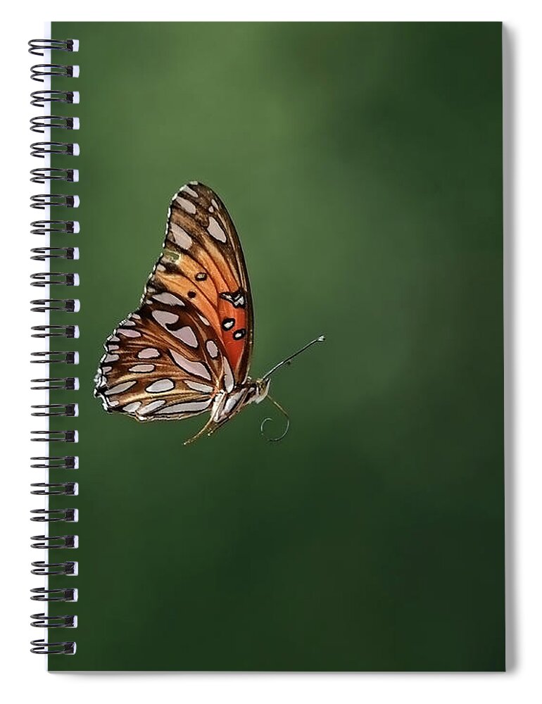 Butterflies Spiral Notebook featuring the photograph In Flight by Stuart Harrison