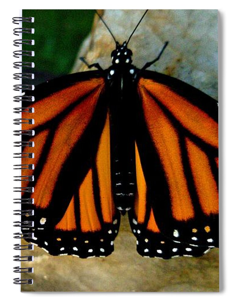 Uther Spiral Notebook featuring the photograph Flutternaut by Uther Pendraggin