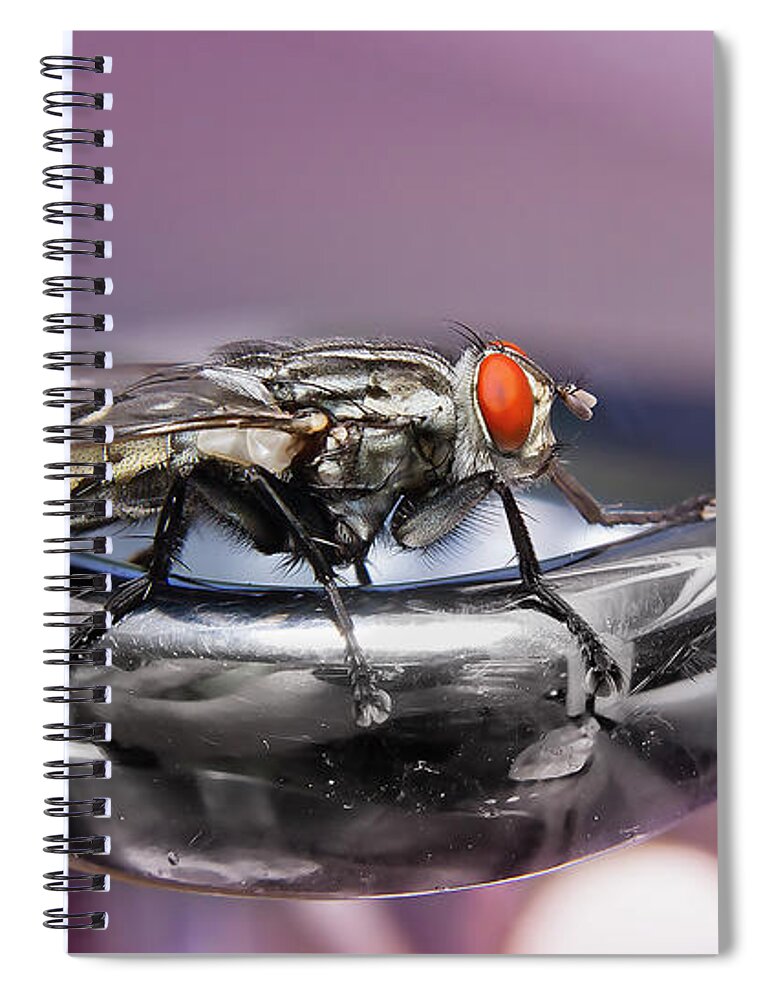 Macro Photography Spiral Notebook featuring the digital art Fly on a tap 0122 by Kevin Chippindall