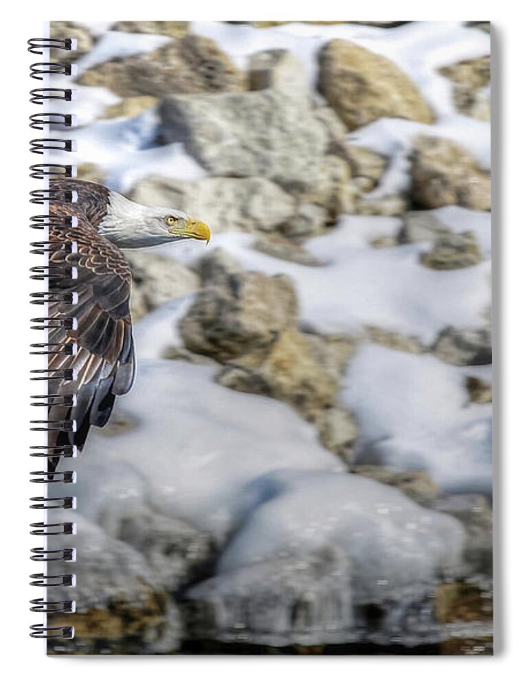 Eagle Spiral Notebook featuring the photograph Flyin by Laura Hedien