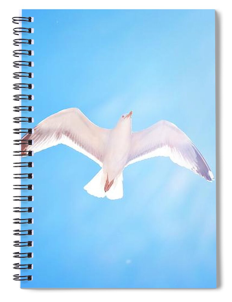 Animal Themes Spiral Notebook featuring the photograph Flying Bird With Blue Sky by By Simon Tam (tamchungman)