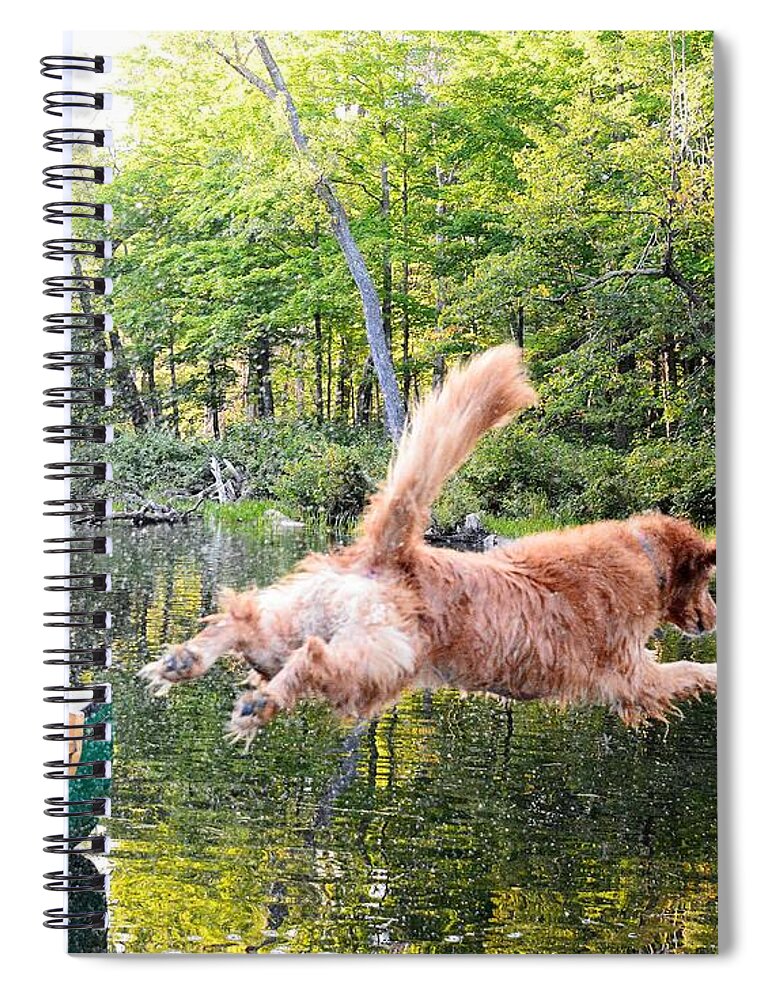 Animal Spiral Notebook featuring the photograph Flying Dog by Steve Brown