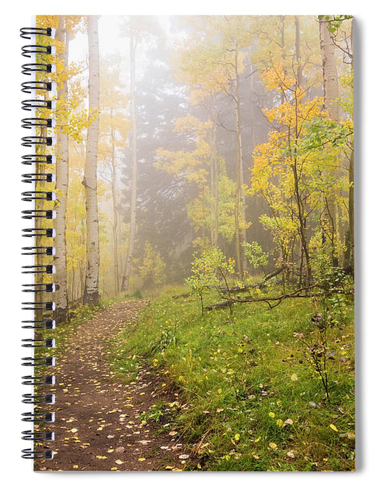Aspen Spiral Notebook featuring the photograph Foggy Winsor Trail Aspens In Autumn 2 - Santa Fe National Forest New Mexico by Brian Harig