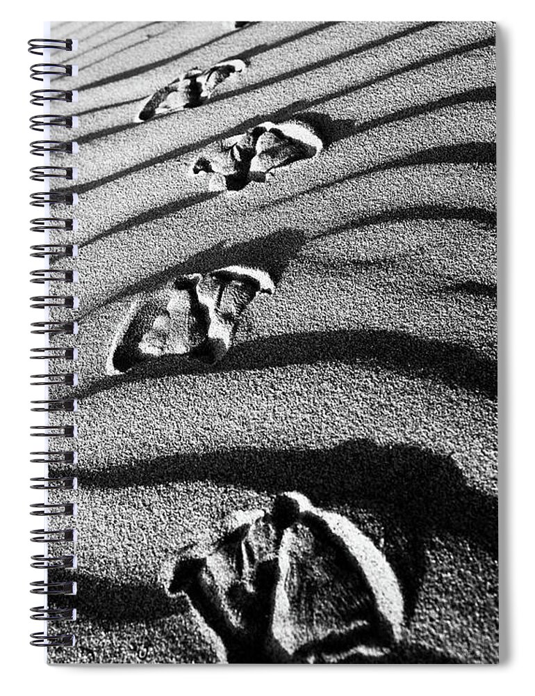 Beach Spiral Notebook featuring the photograph Follow Me by Mike Long