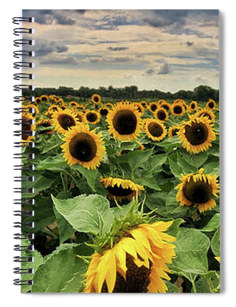Sunflower Spiral Notebook featuring the photograph Following the Sun by Andrea Platt