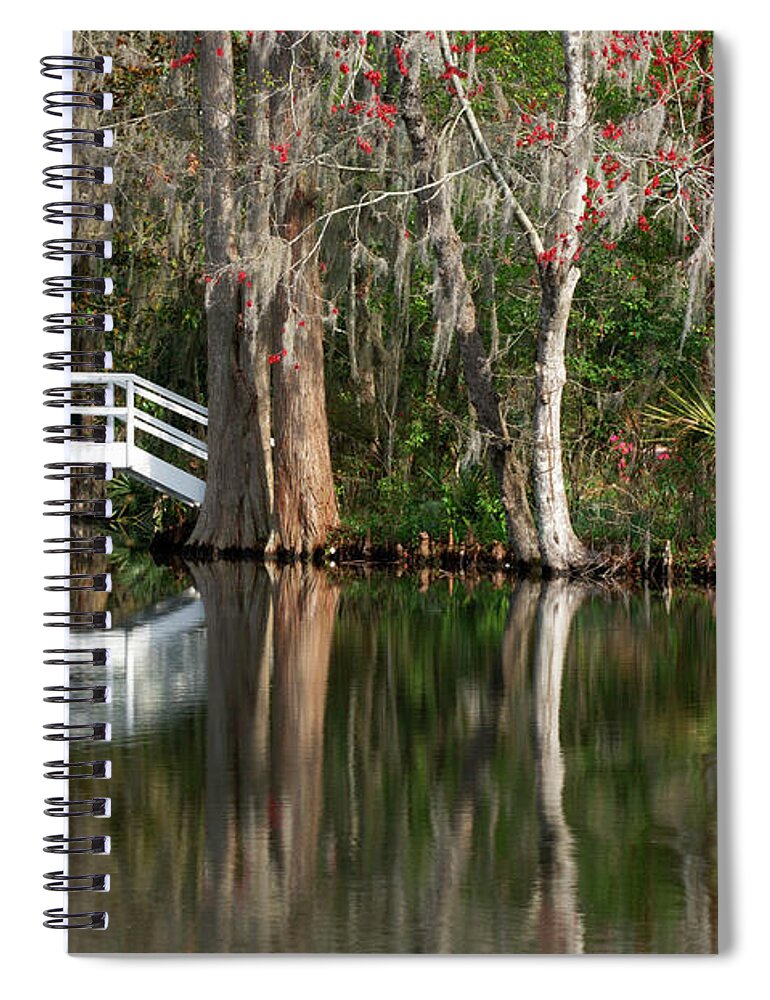 Non-urban Scene Spiral Notebook featuring the photograph Footbridge In Garden by Tony Sweet
