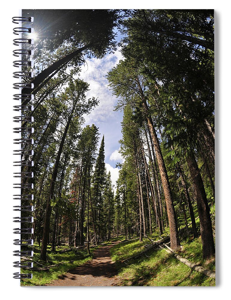 Shadow Spiral Notebook featuring the photograph Footpath In Forest by Laverrue Was Here