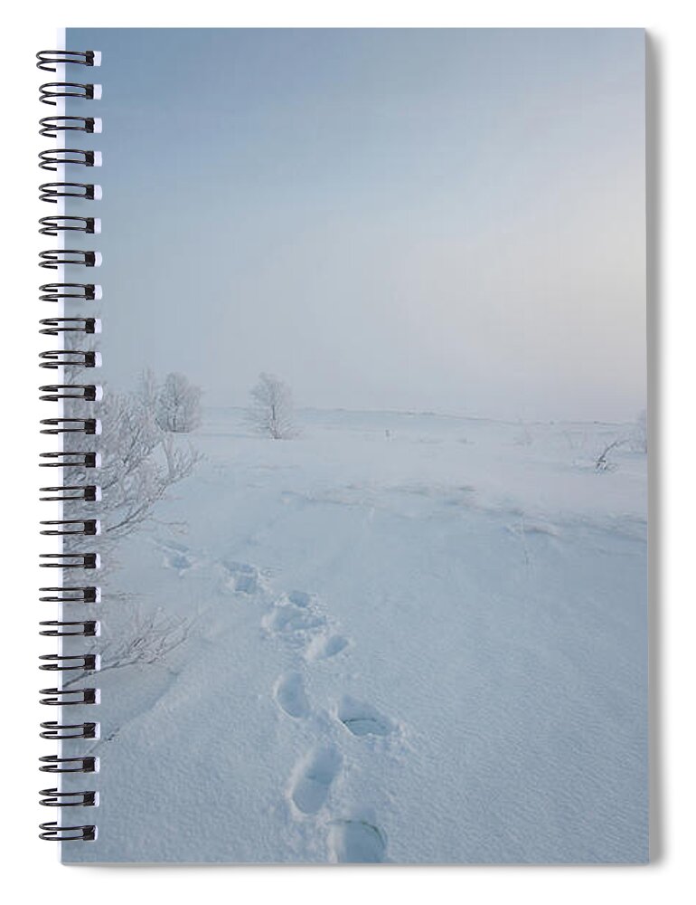 Tranquility Spiral Notebook featuring the photograph Footprint In Snow by Elin Enger