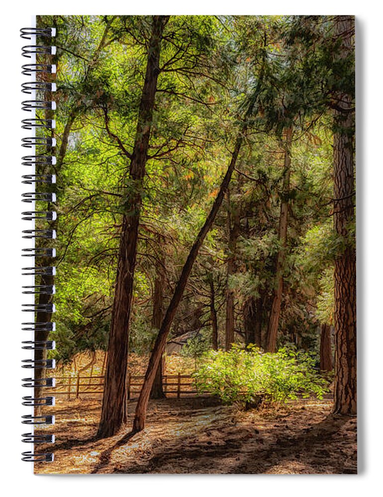 Pines Spiral Notebook featuring the photograph Forest Light II by Alison Frank