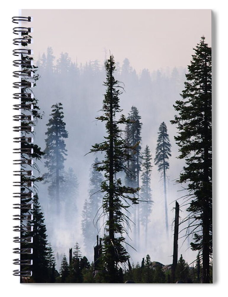 Environmental Conservation Spiral Notebook featuring the photograph Forest Management Burn In Yosemite by Wirehead Arts