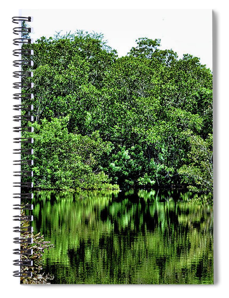 Trees Spiral Notebook featuring the photograph Forest Reflection by Debra Kewley