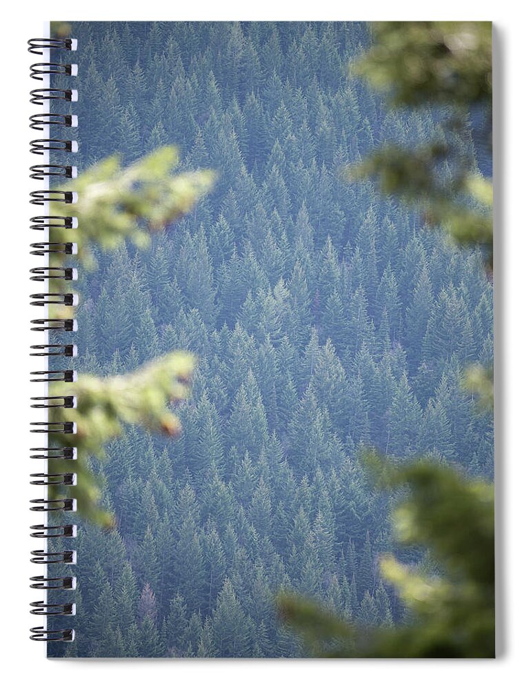 National Park Spiral Notebook featuring the photograph Forest Through The Trees by Steven Keys