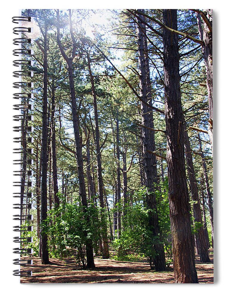 Formby Spiral Notebook featuring the photograph  FORMBY. Woodland By The Coast by Lachlan Main
