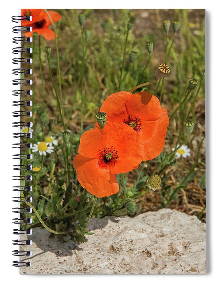 Flowers Spiral Notebook featuring the photograph Forum Romanum by Joseph Yarbrough