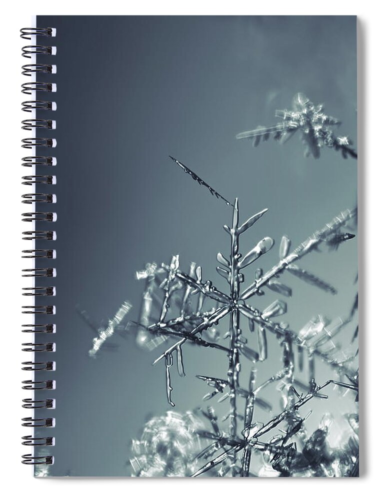 Abstract Spiral Notebook featuring the photograph Fragile snowflake - monochrome blue by Intensivelight