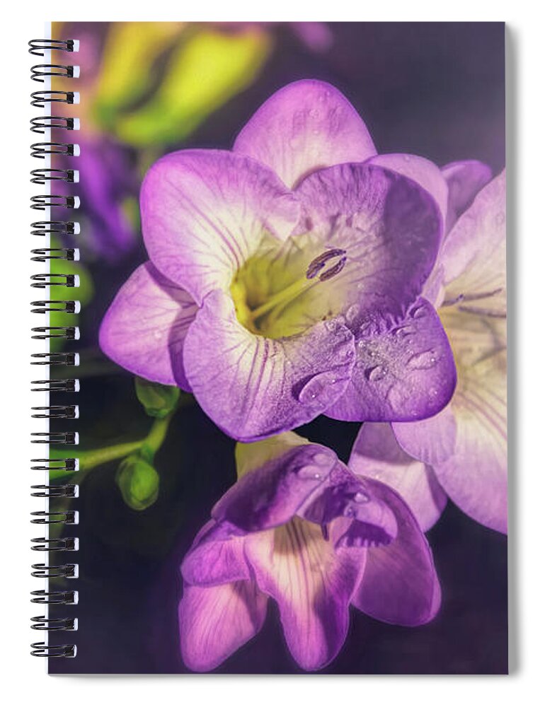 Freesia Spiral Notebook featuring the photograph Fragrant Freesia by Carol Japp