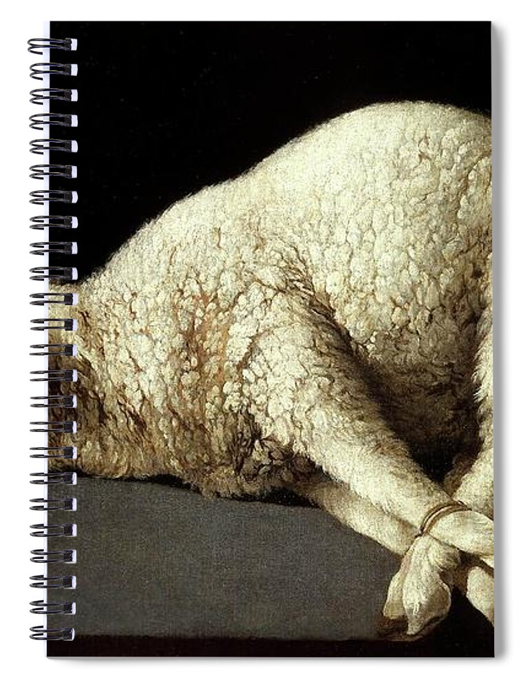 Agnus Dei (the Lamb Of God) Spiral Notebook featuring the painting Francisco de Zurbaran / 'Agnus Dei -The Lamb of God-', 1635-1640, Spanish School. by Francisco de Zurbaran -c 1598-1664-