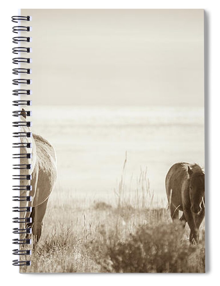Wild Horses Spiral Notebook featuring the photograph Free family 3 by Mary Hone