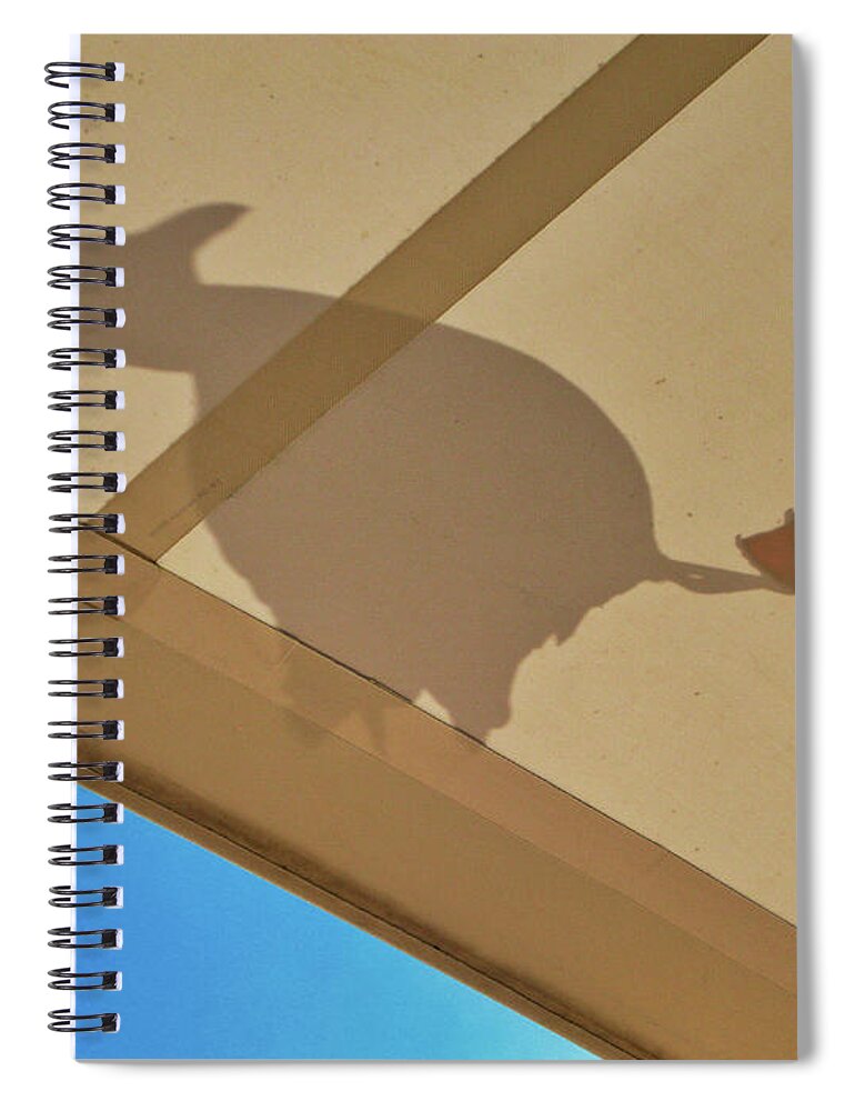 Cruises Spiral Notebook featuring the photograph Free ride by Segura Shaw Photography