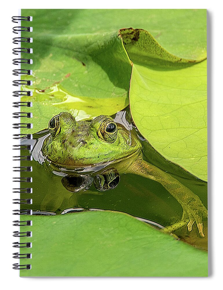 Frog Spiral Notebook featuring the photograph Frog by Minnie Gallman