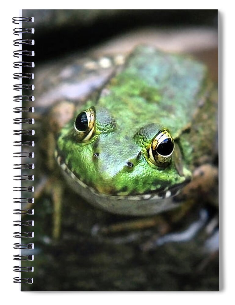 Green Frog Spiral Notebook featuring the photograph Frog Prince by Christina Rollo